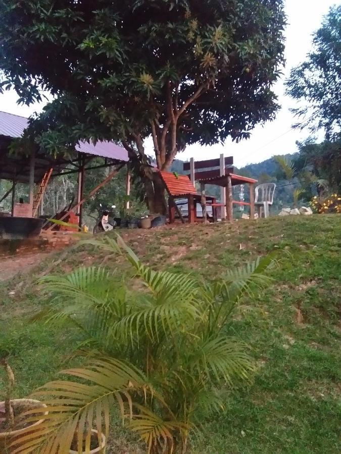 Delimah Guesthouse Куала-Тахан Номер фото